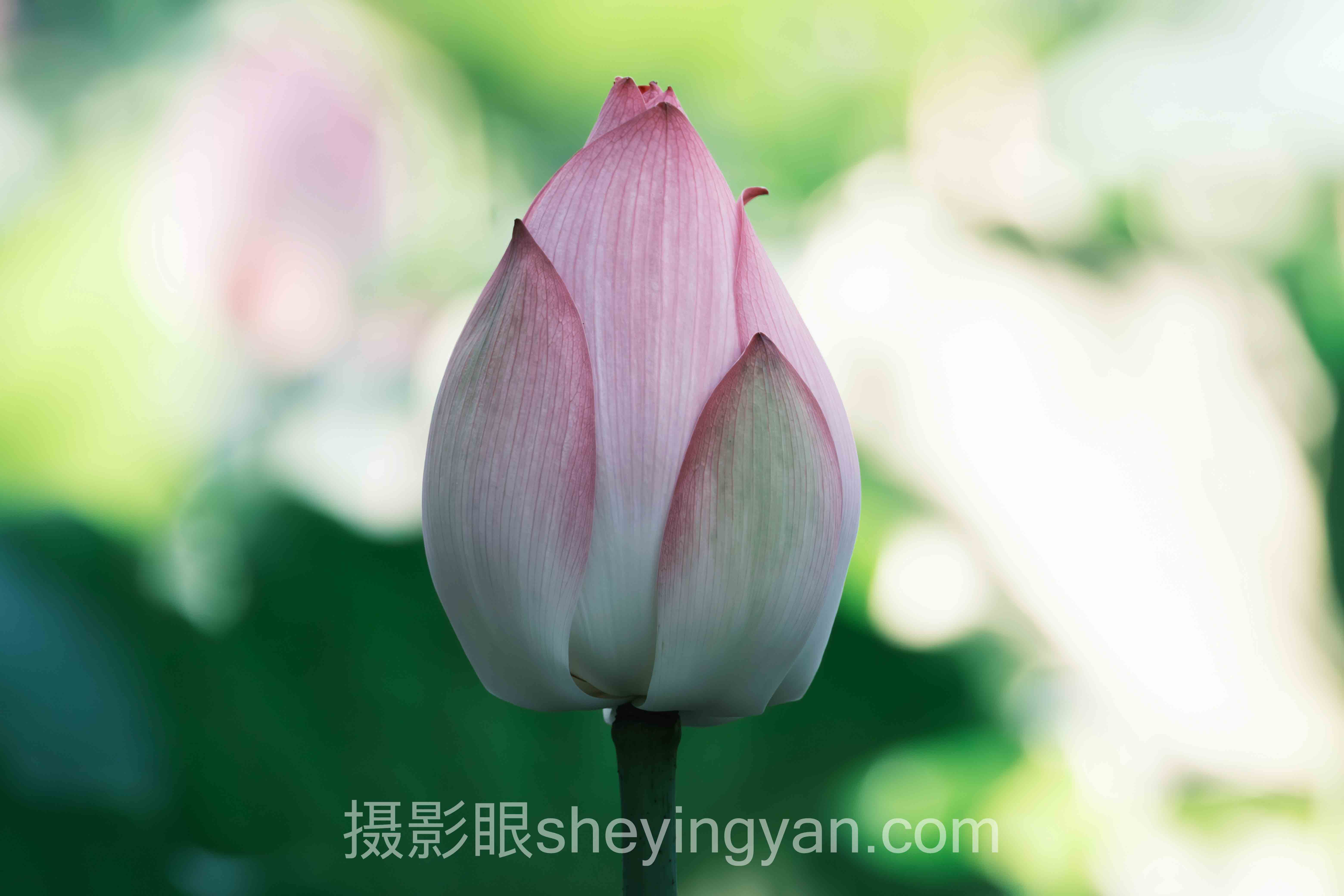 摄影眼测试课程
