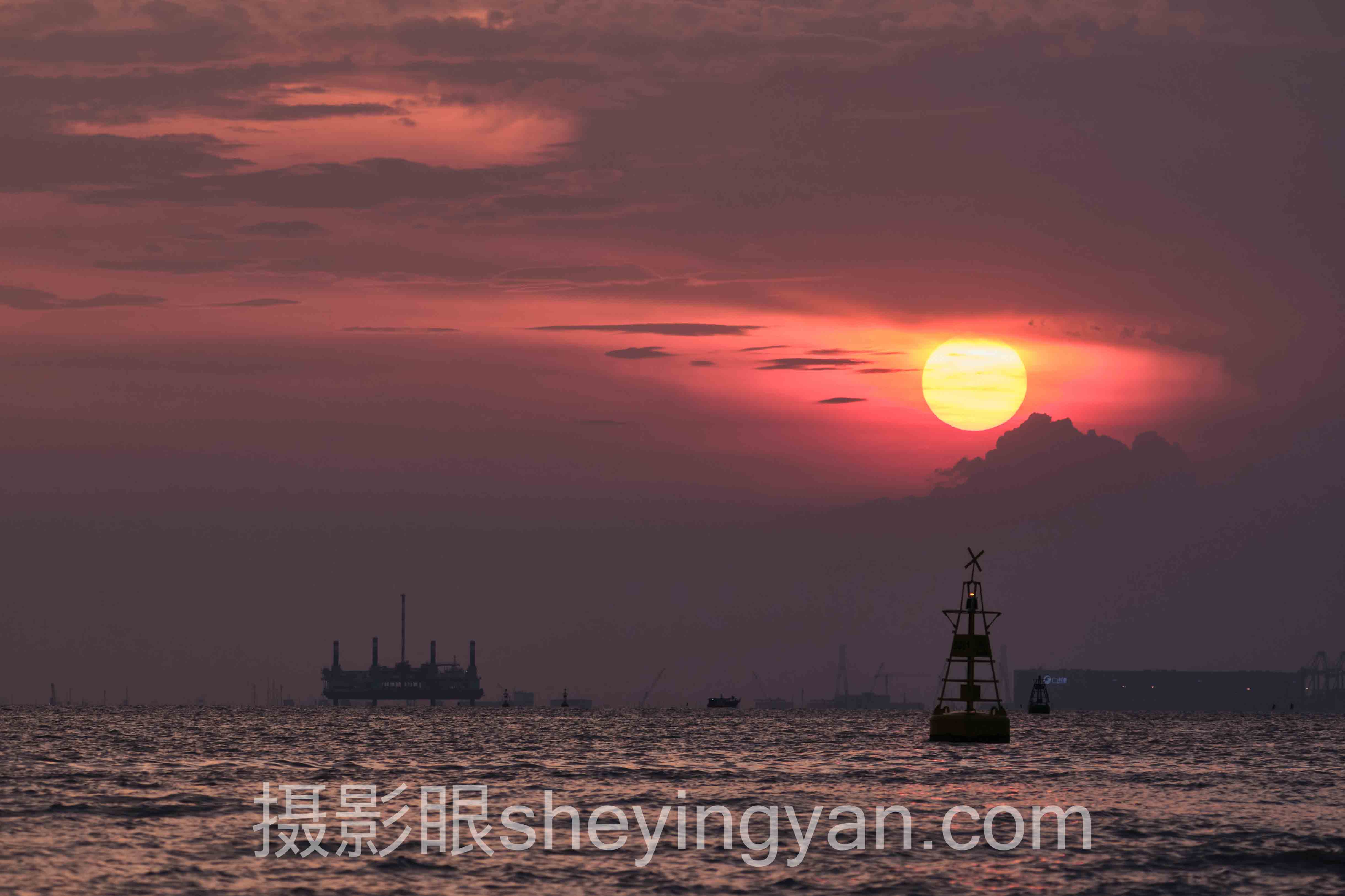2024年摄影协会被拒数据报告：关键趋势与提升洞察