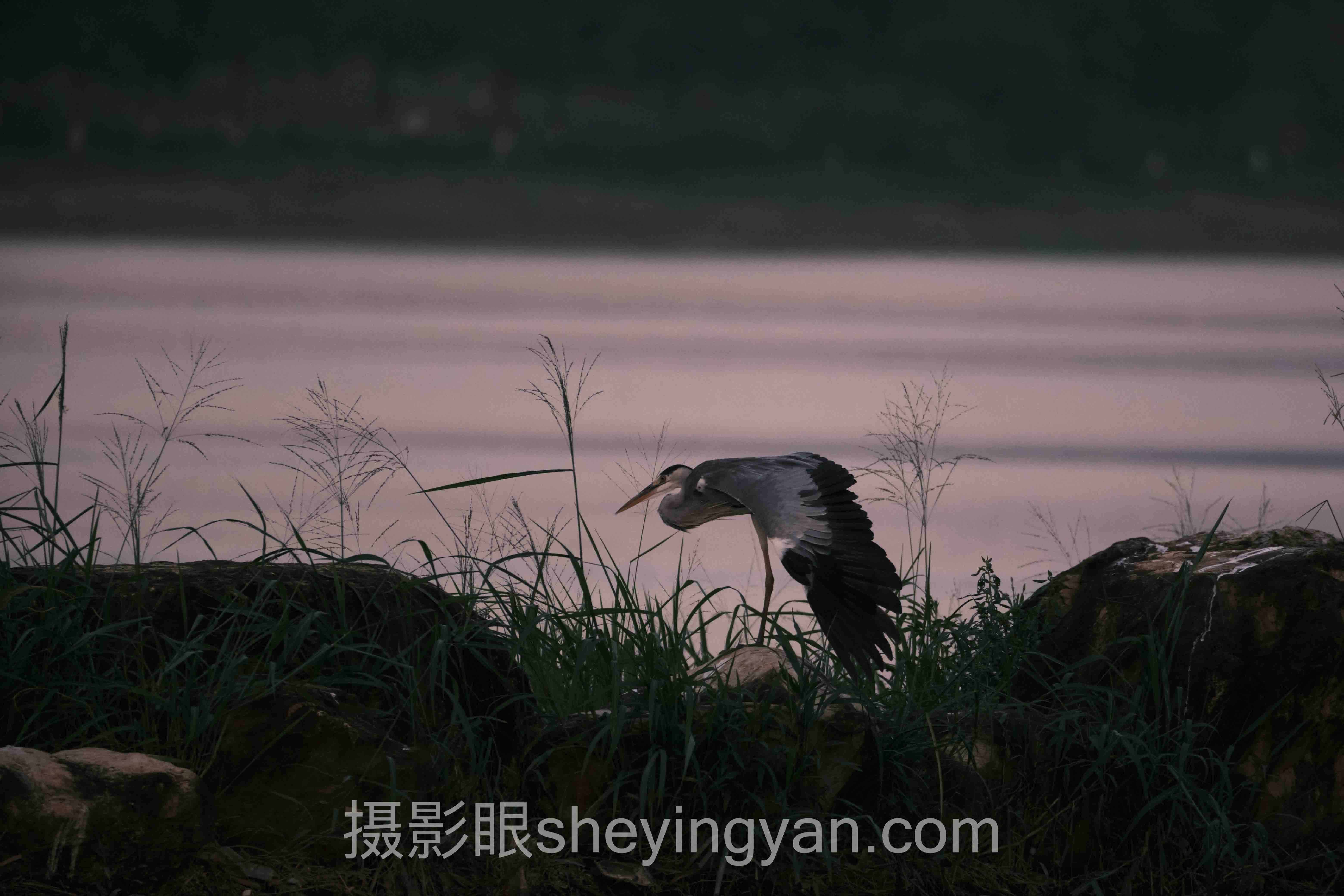 摄影学习哪个学校好全问答：你想知道的都在这里