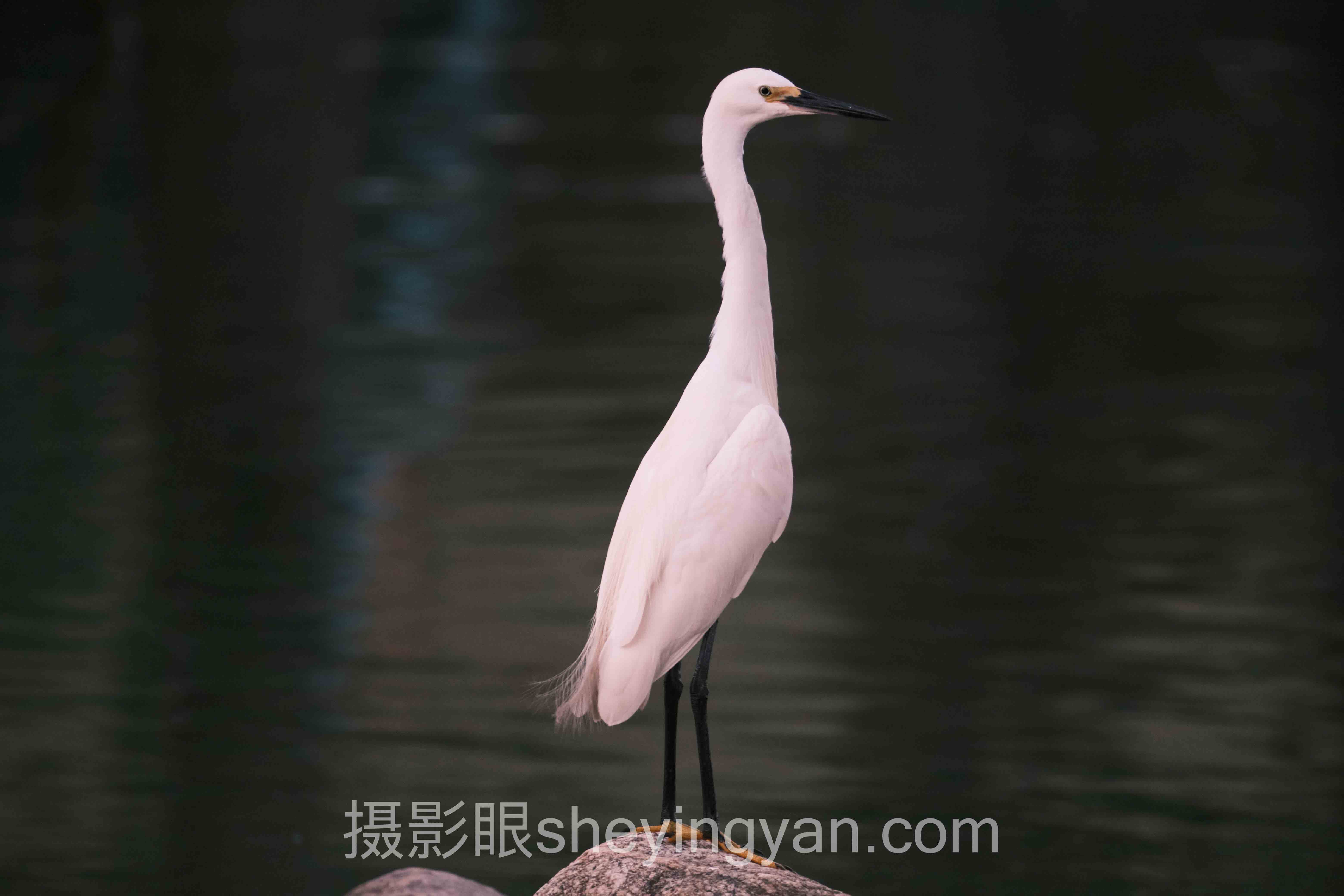 摄影眼测试题在线避坑指南：7个关键要点全梳理