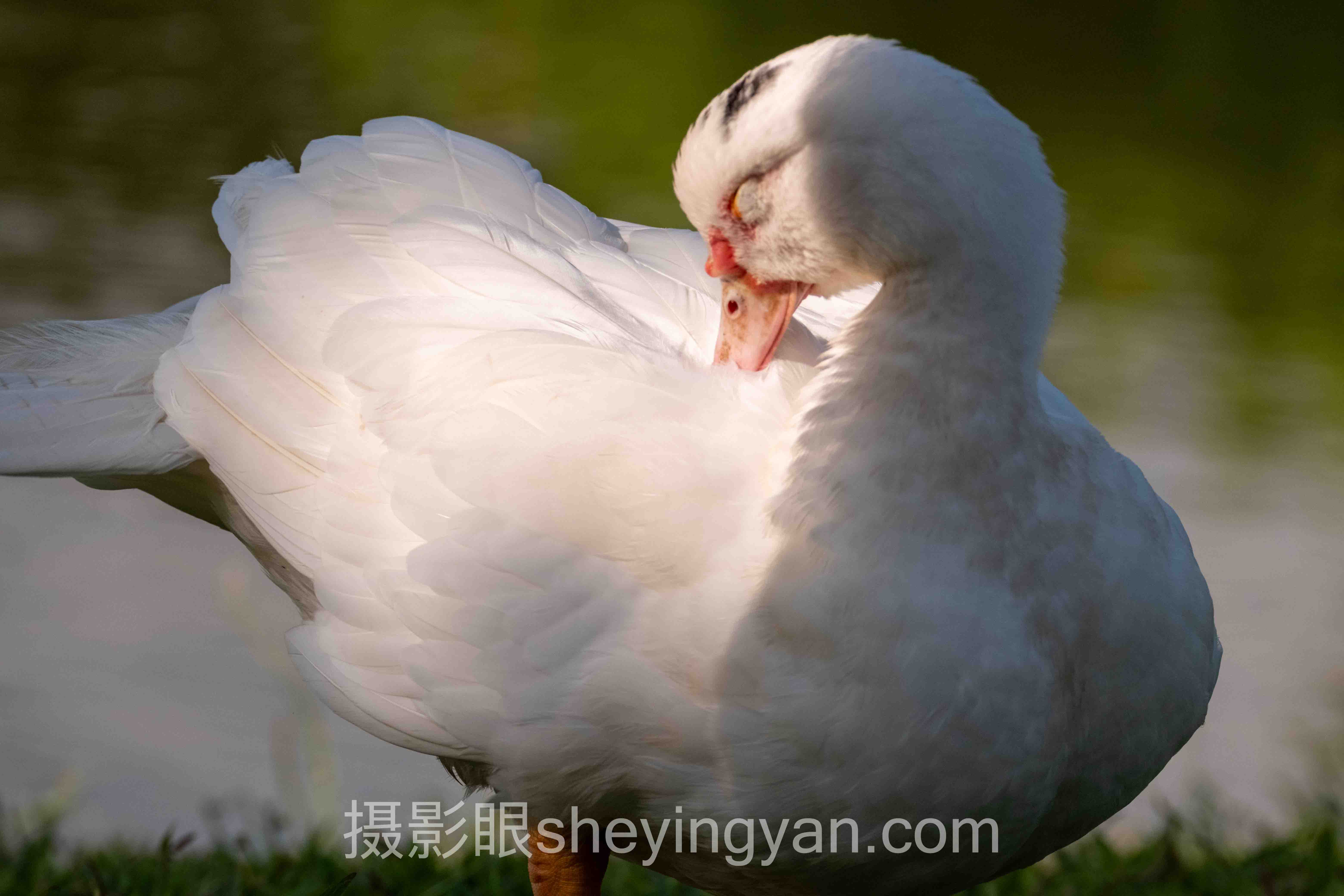 摄影眼平台风光摄影