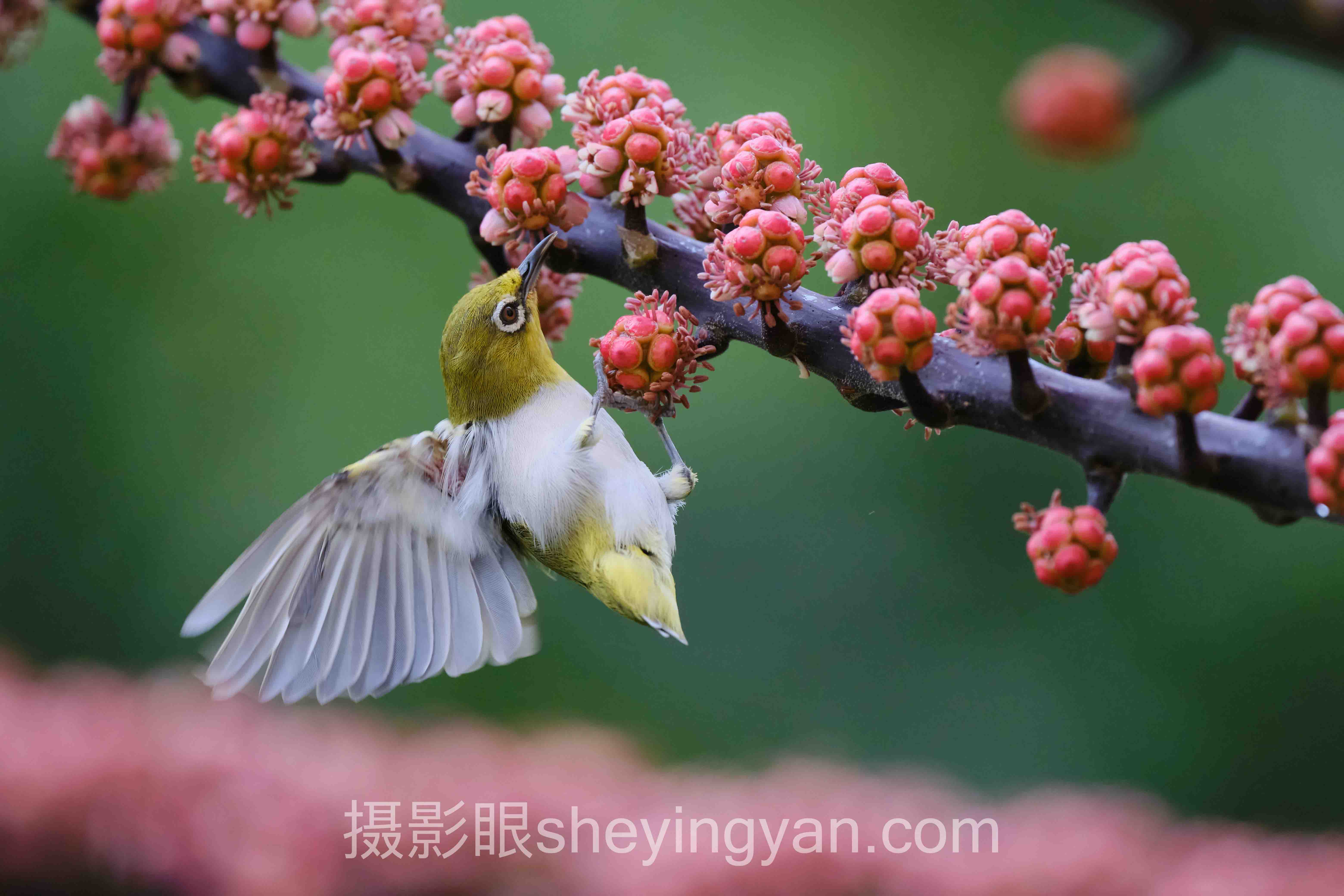 照片点评行业数据全景：7组数据揭示真相